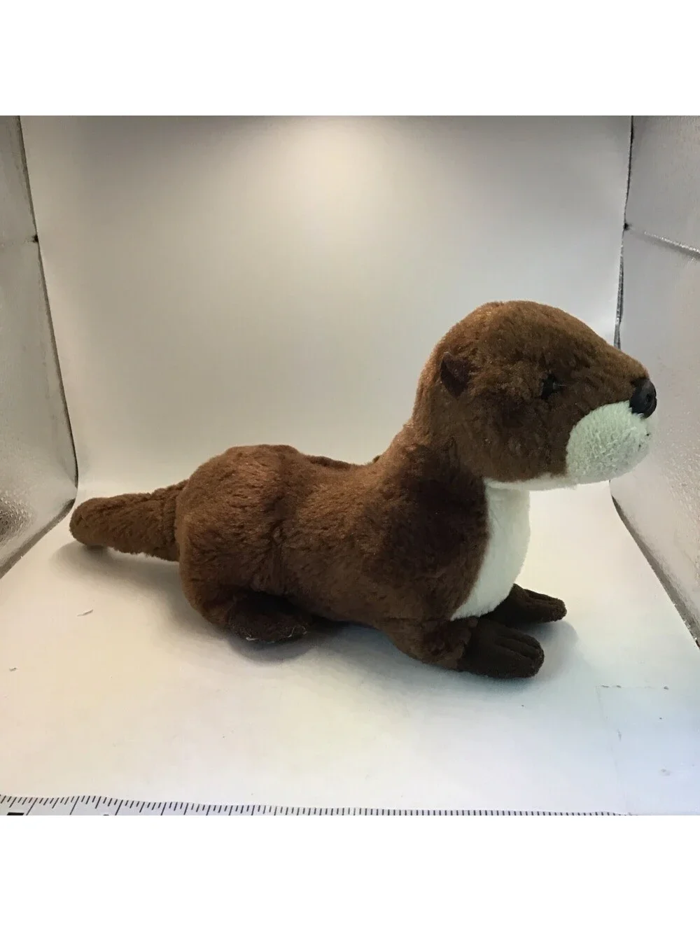 Aurora river otter